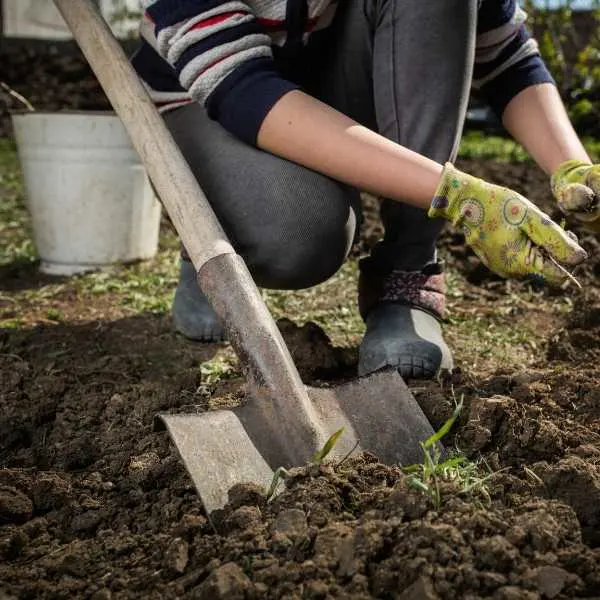 A woman preparing the soil for a vegetable garden