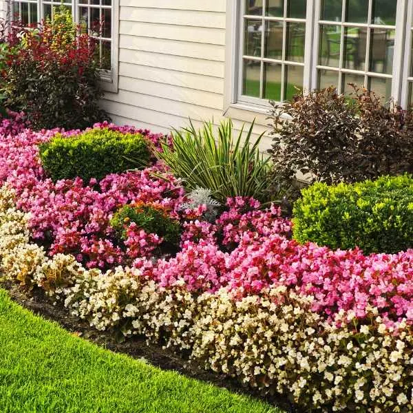 Backyard flower garden ideas and pictures