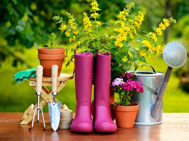 Basic gardening tools for beginners