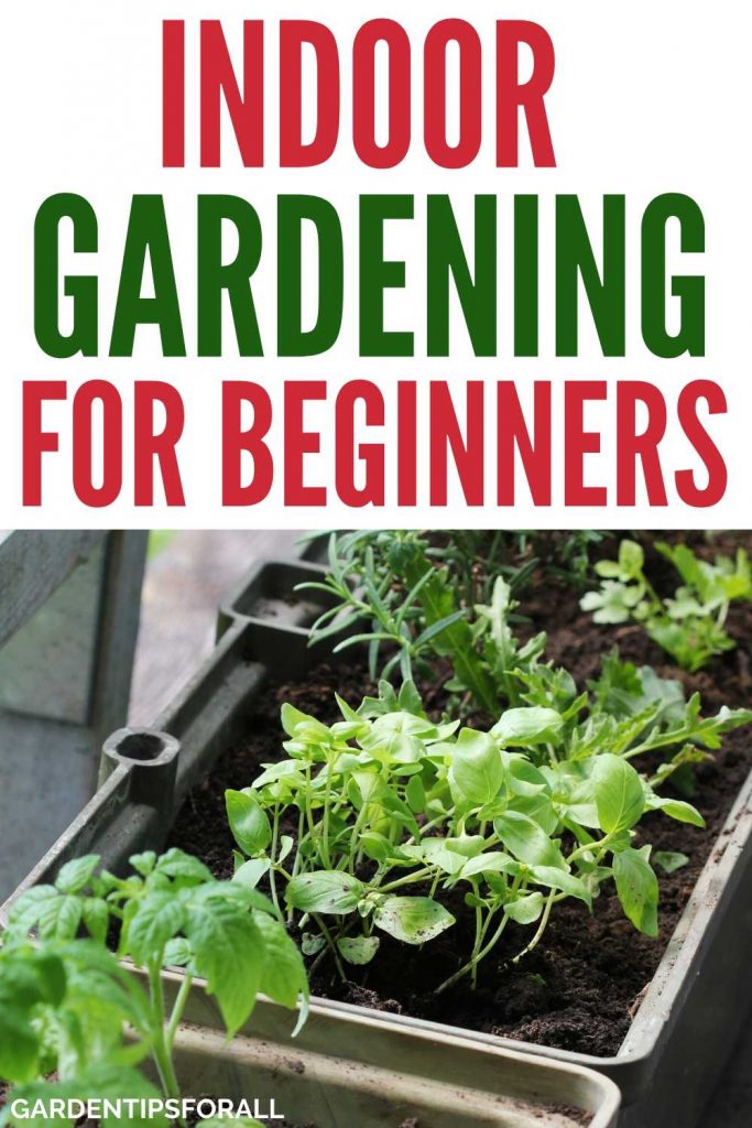 Indoor gardening guide for beginners