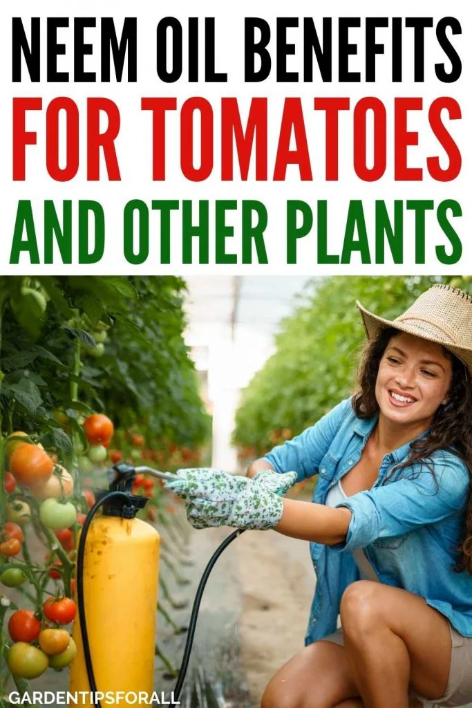 Neem oil benefits for tomato plants