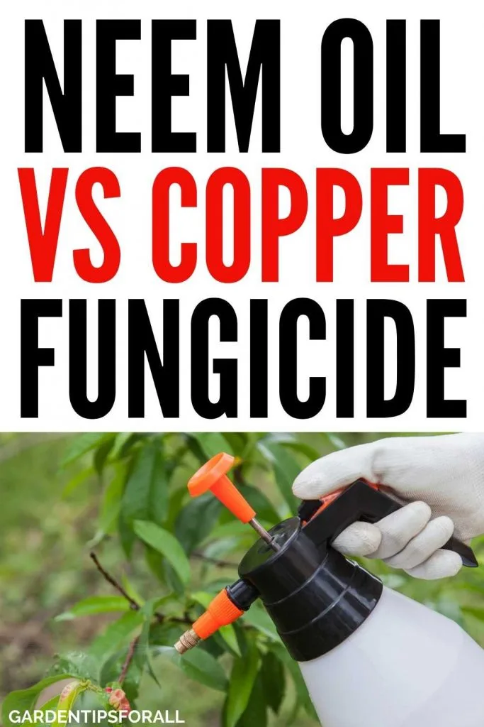Neem oil vs copper fungicide