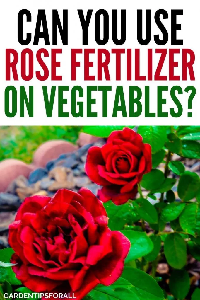 Can you use rose fertilizer on vegetables