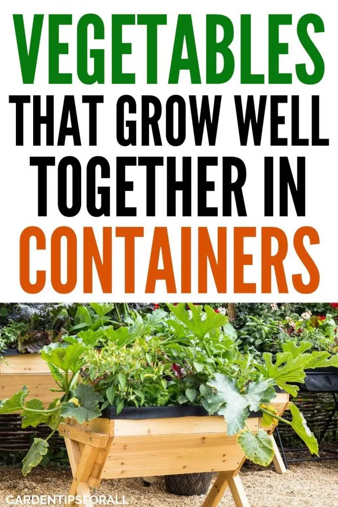 Vegetables that grow well together in containers