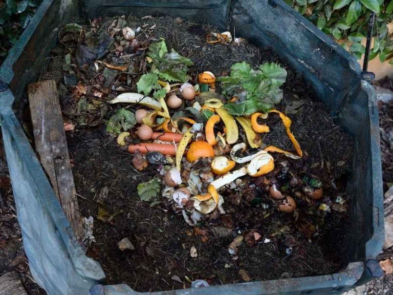 How Long Does It Take to Make Compost?