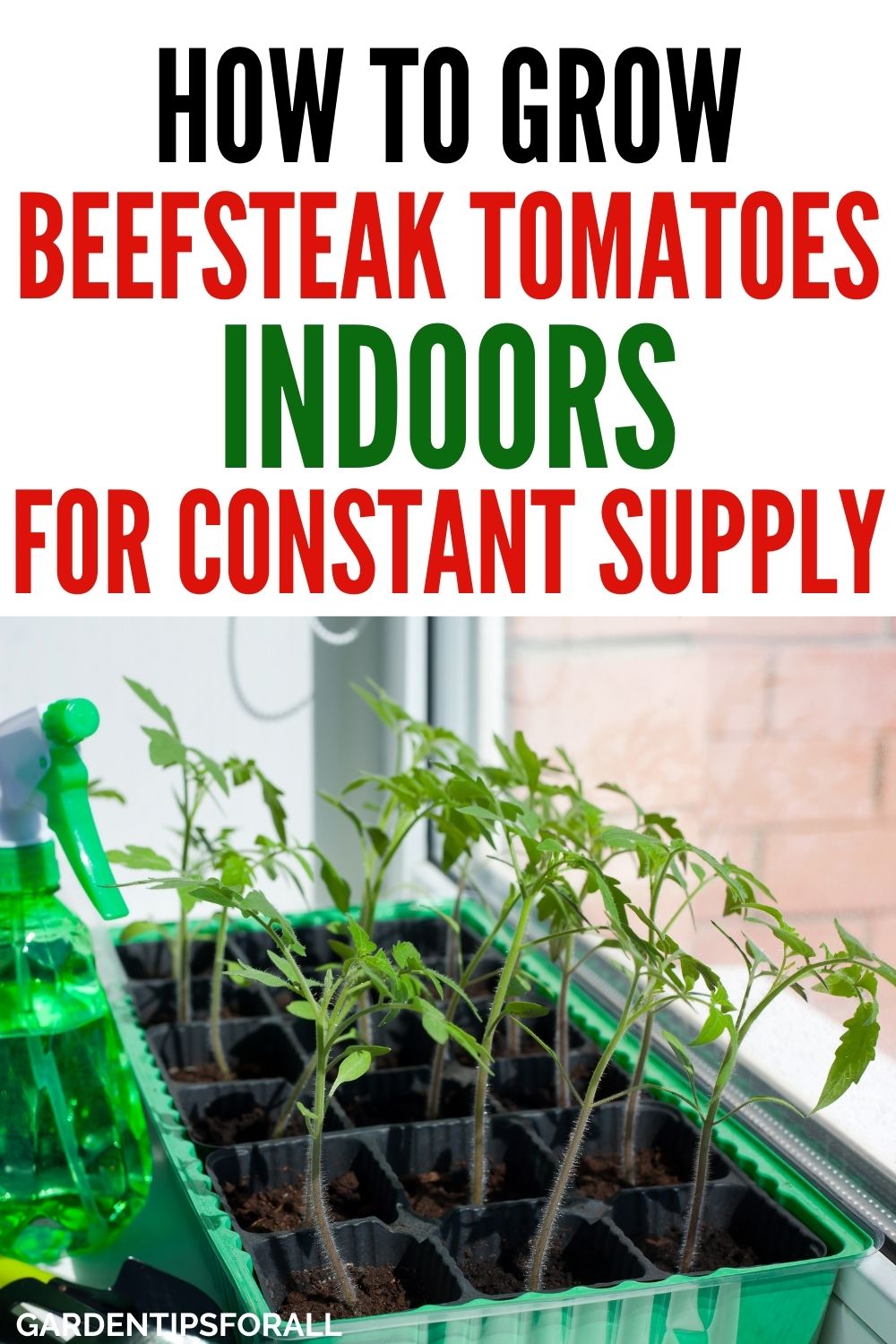 How to Grow Beefsteak Tomatoes Indoors
