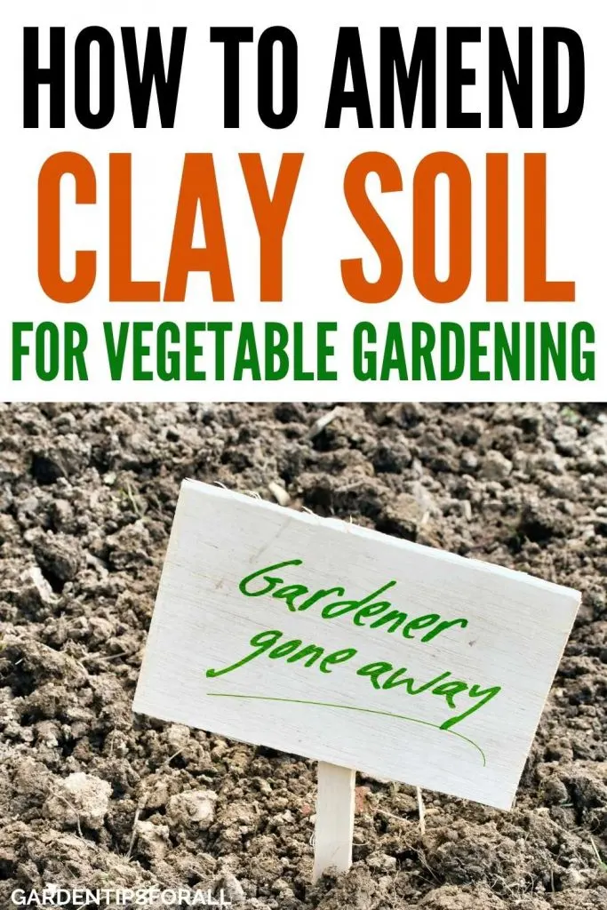 How to improve clay soil for a vegetable garden