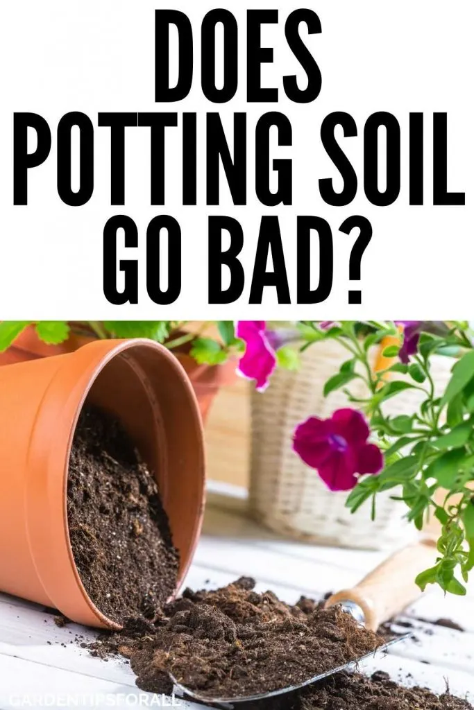 Can potting soil go bad
