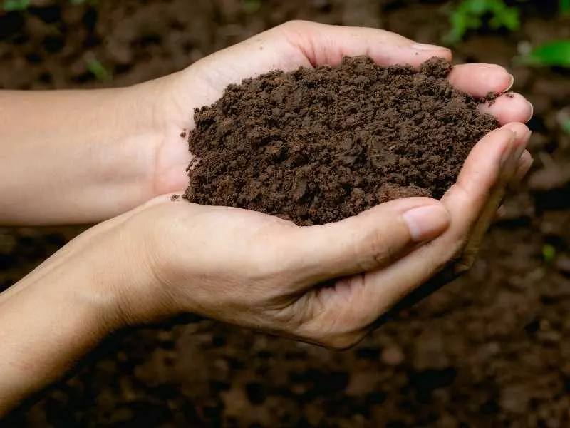 Is soil a heterogeneous mixture