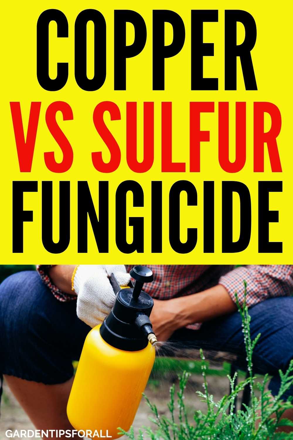 Copper vs Sulfur Fungicide Which One is Better?