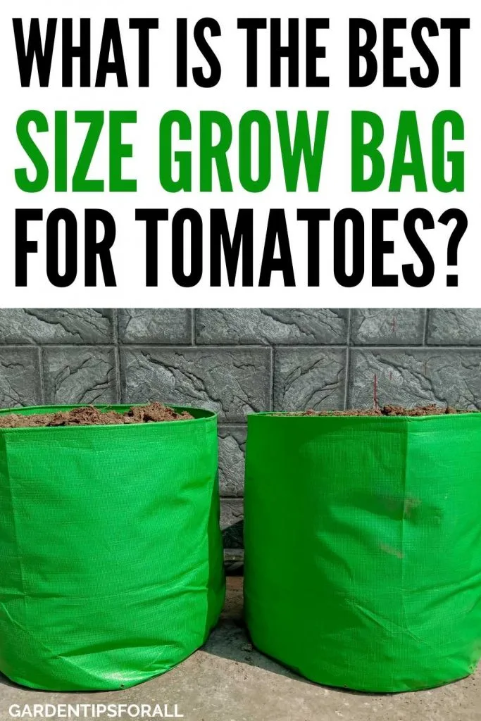 What is the best size grow bag for tomatoes