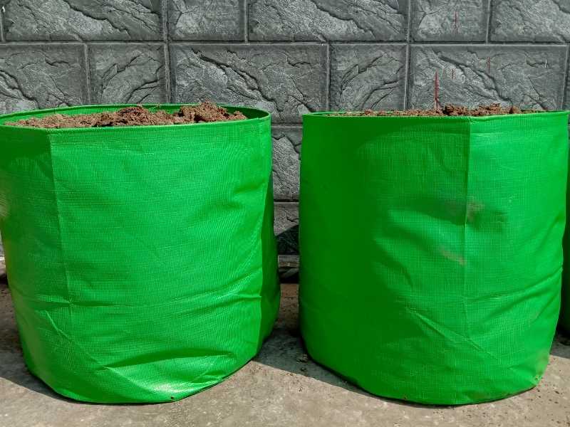 What size grow bag for tomatoes