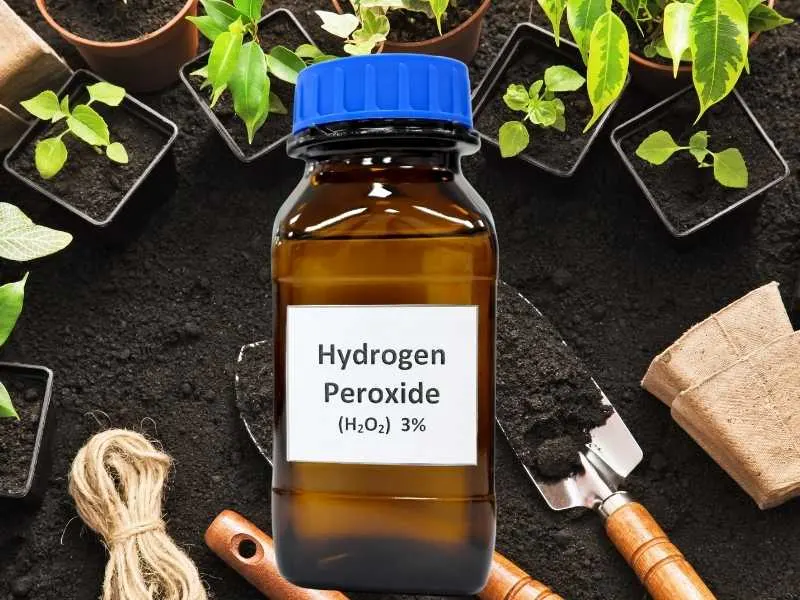 How much hydrogen peroxide for plants to use