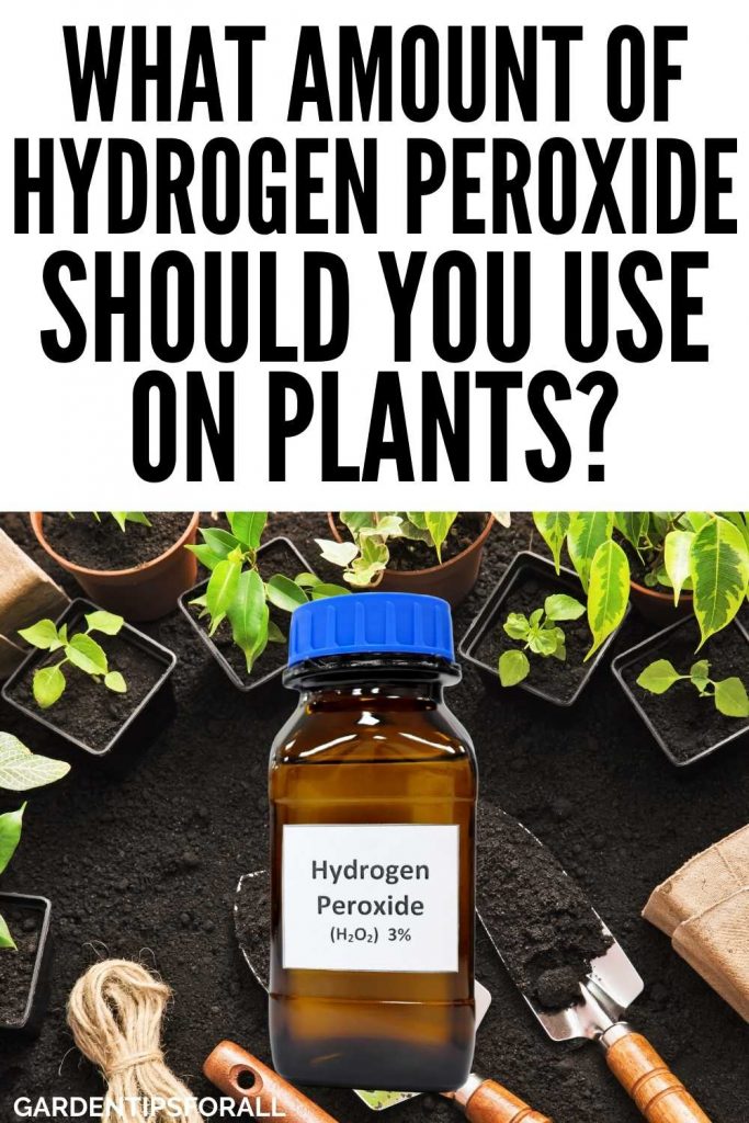 How much peroxide for plants