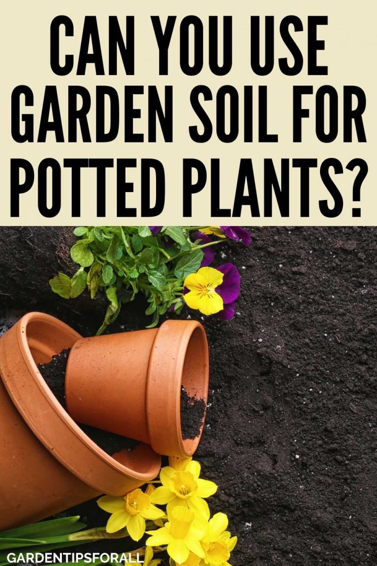 Can You Use Garden Soil for Potted Plants? + [What to Use Instead]