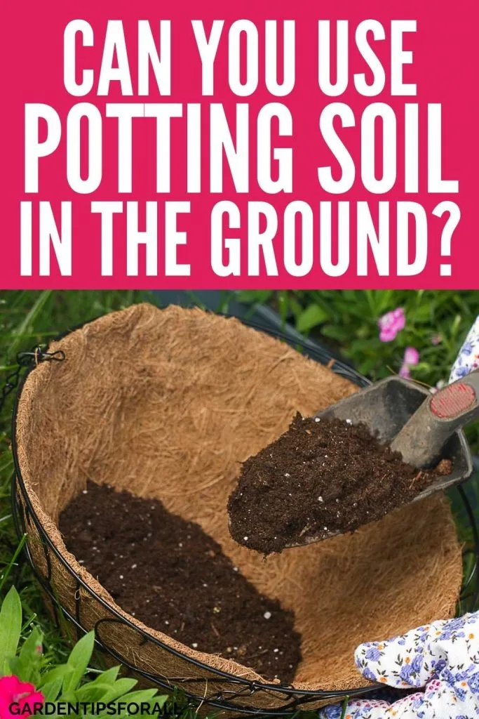 Can I use potting soil in the ground or not