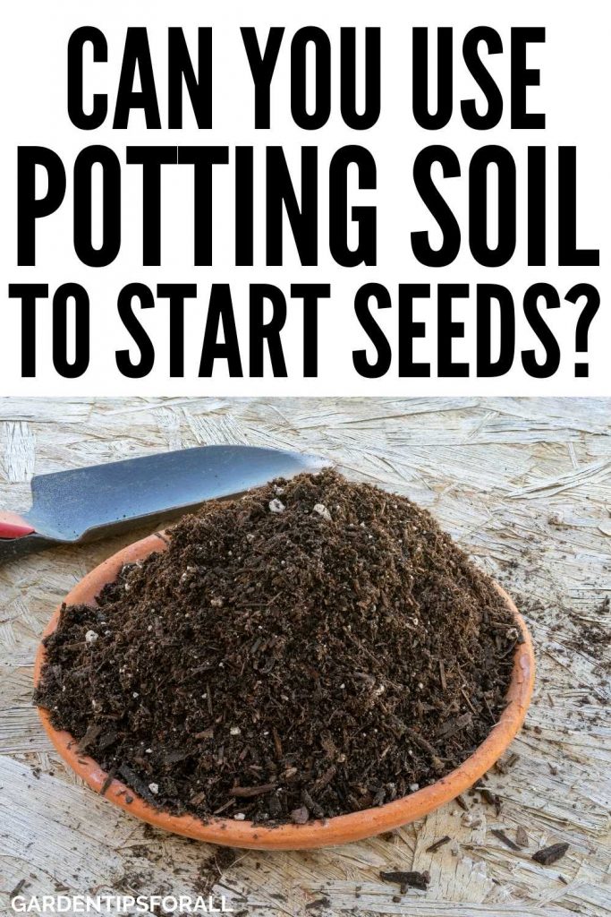 Can I use potting soil to start seeds