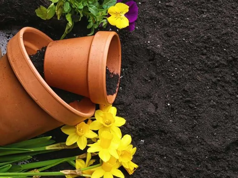 Can you use garden soil for potted plants