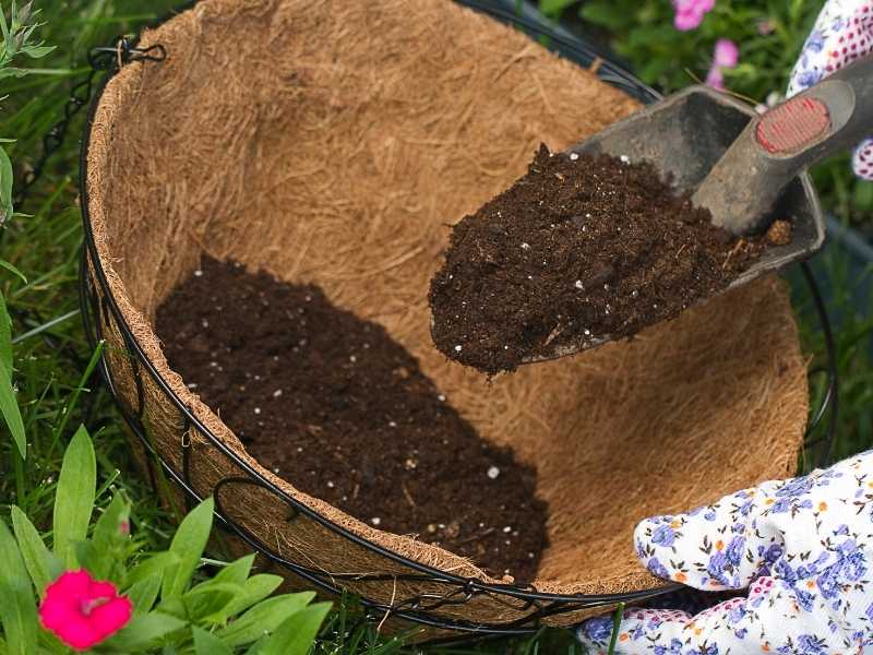 Can you use potting soil in the ground or not