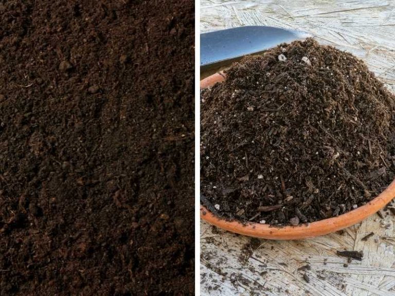 Garden Soil vs. Potting Soil