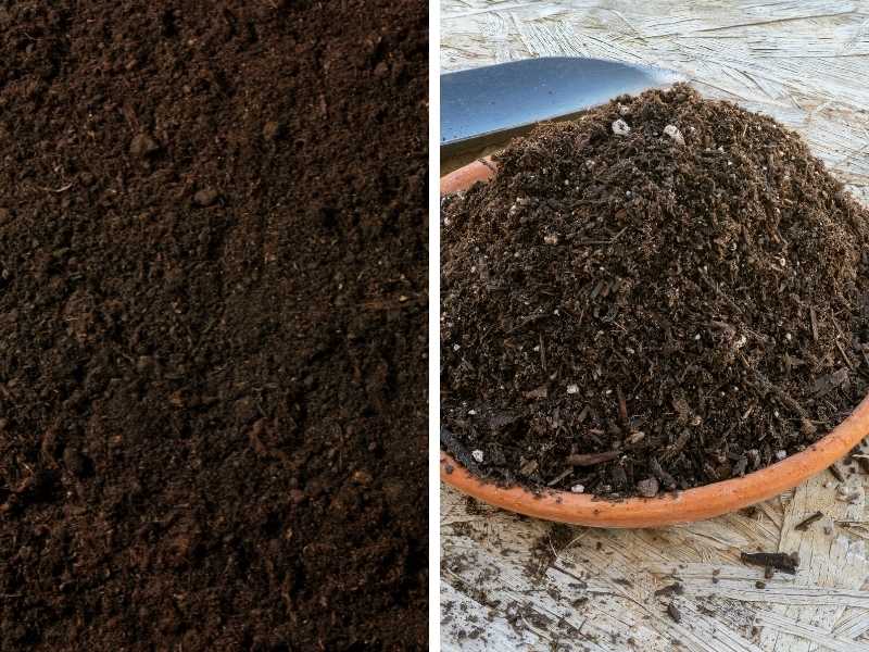 Garden soil vs. potting soil