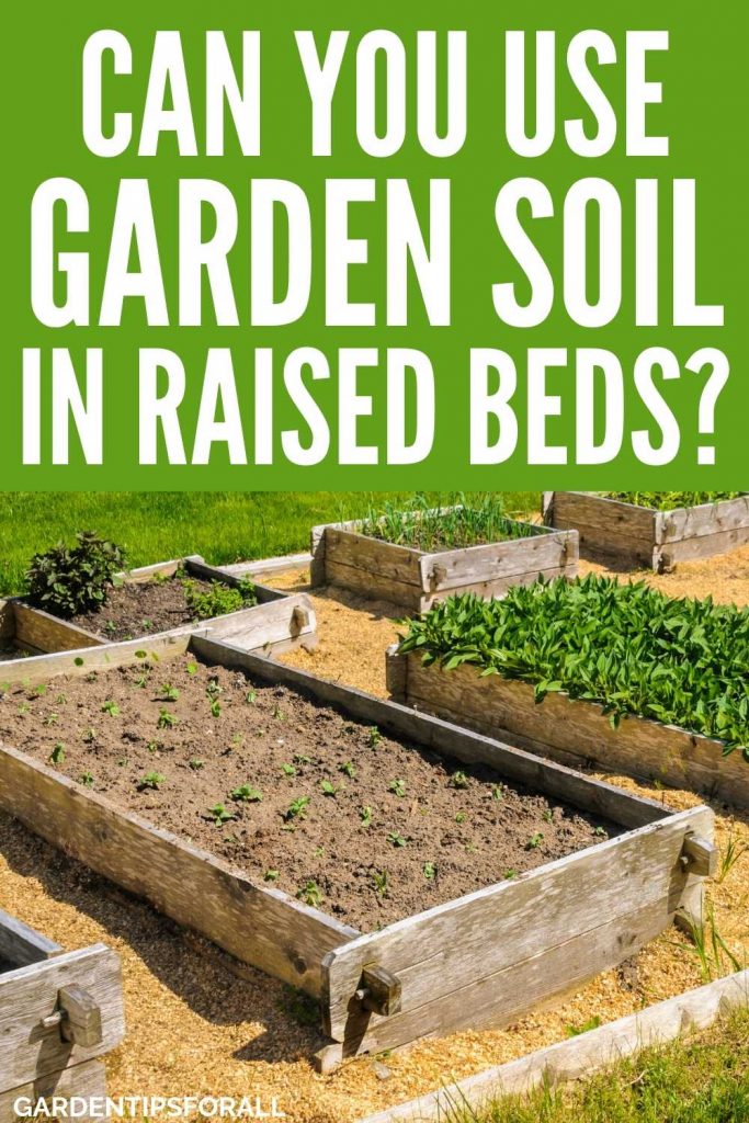 Can I use garden soil in a raised bed