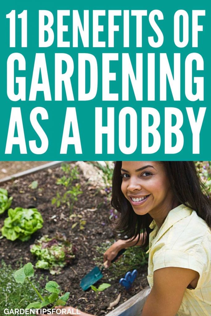 Advantages of gardening as a hobby