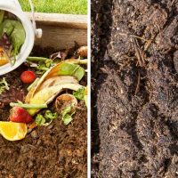 Is compost and manure the same thing