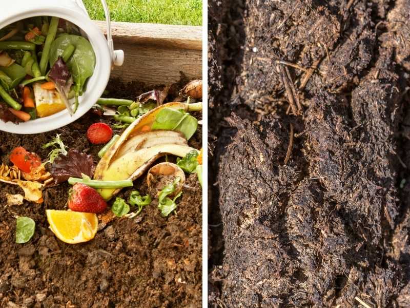 Is compost and manure the same thing