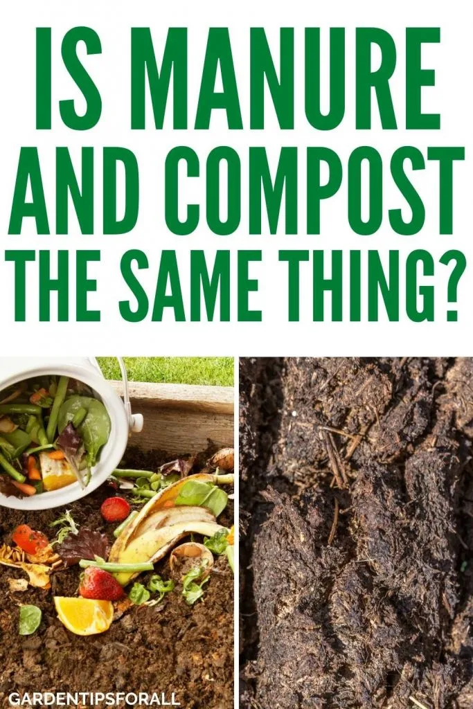 Compost and manure with text that says, "Is manure and compost the same thing".
