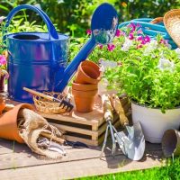 Watering can and other garden tools - Featured image for 