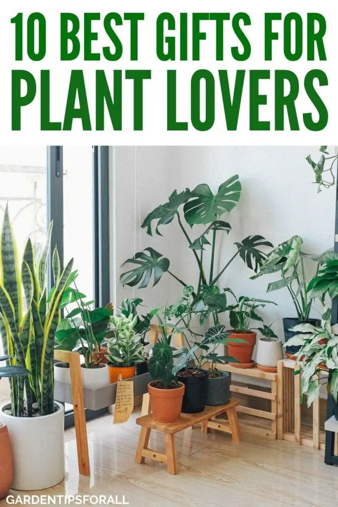 Houseplants with text that says, "10 Best Gifts for plant lovers".