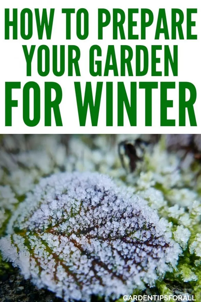 Frost on green leaves with text that says, "How to Prepare your garden for winter".