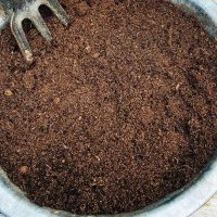 Potting soil in a pot - Featured image for 