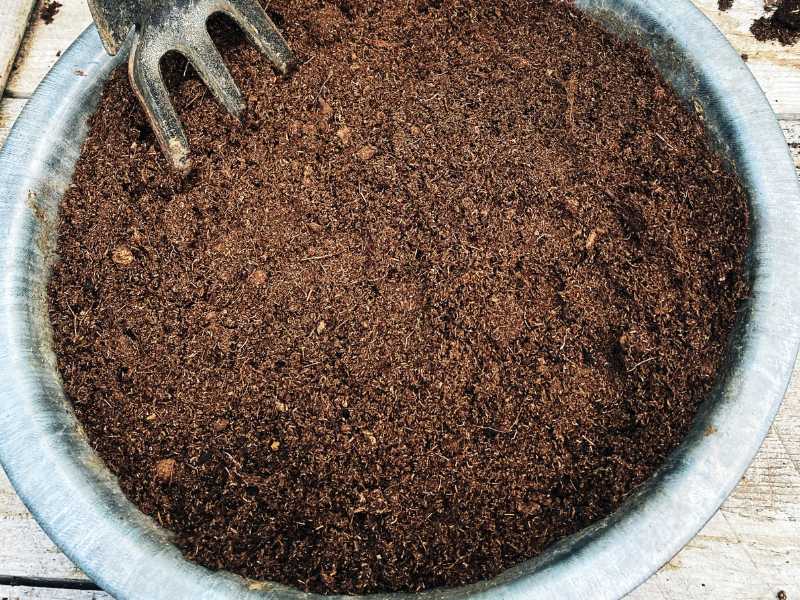 Potting soil in a pot - Featured image for "How to store potting soil over winter" post.