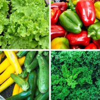 Lettuce, peppers, squash and kale are some of the best vegetables to grow in Indiana.