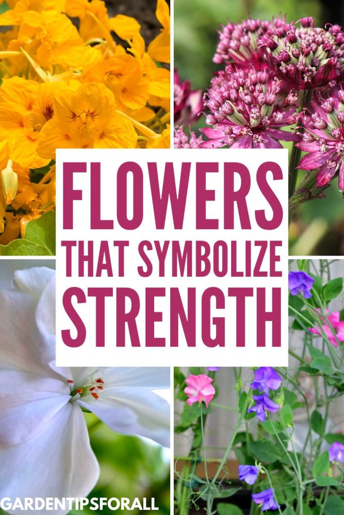 Various flowers that symbolize strength.